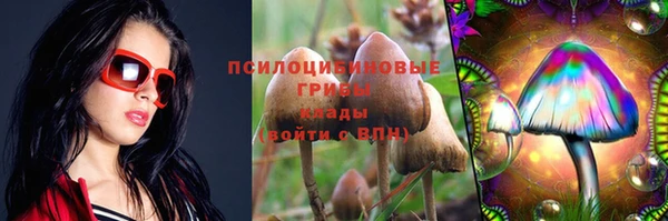 индика Лиски