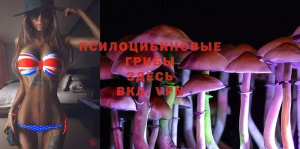 индика Лиски