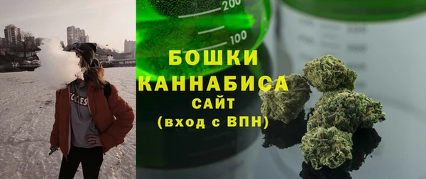 индика Лиски