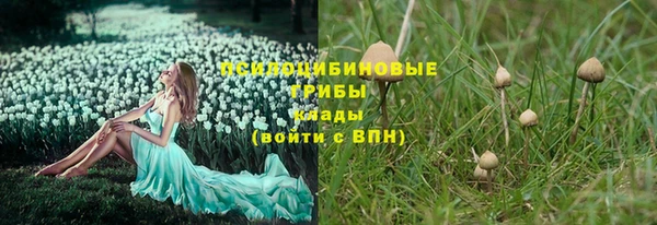 соль ск Липки
