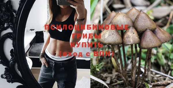 мдпв Лихославль