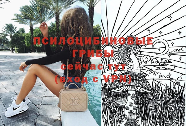 индика Лиски