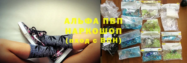 индика Лиски
