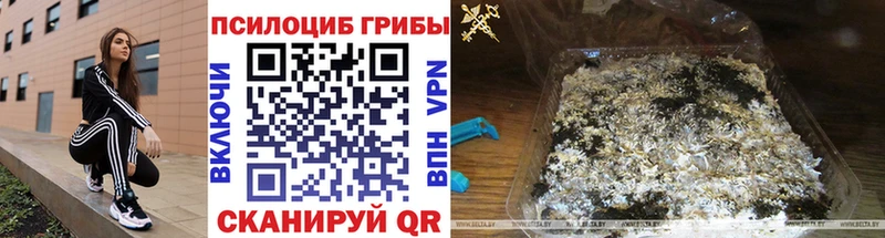 Галлюциногенные грибы Psilocybe  Бердск 