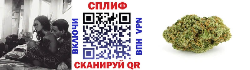 Конопля планчик  Бердск 